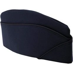Best reviews of 😀 DLATS Air Force Men's Enlisted Flight Cap ⌛