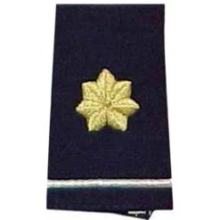 Brand new ❤️ Other Brands Air Force Major Female Shoulder Marks 🔥