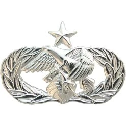 Best deal 😀 Other Brands Air Force Senior Logistics Readiness Badge, Mirror Finish, Regular Size 😍