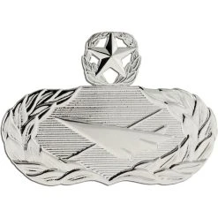 Budget 🥰 Other Brands Air Force Master Historian Badge, Mirror Finish, Regular Size 🤩