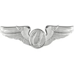 Budget 🧨 Other Brands Air Force Basic Remotely Piloted Aircraft (RPA) Badge, Mirror Finish, Regular Size 😉