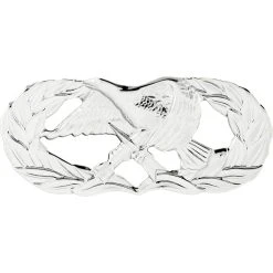 Buy 💯 Other Brands Air Force Basic Maintenance & Munitions Badge, Mirror Finish, Regular Size 🔔